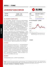 山东地区轮胎产业链走访调研纪要.pdf
