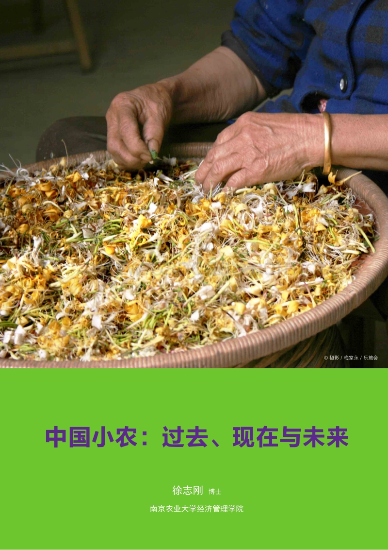 中国小农：过去、现在与未来.pdf_第1页