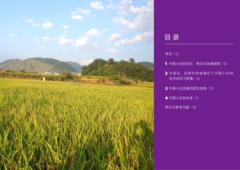 中国小农：过去、现在与未来.pdf_第2页