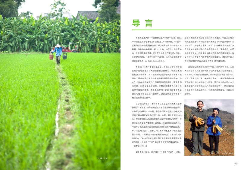 中国小农：过去、现在与未来.pdf_第3页
