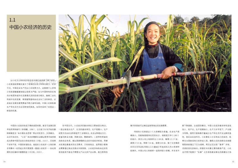 中国小农：过去、现在与未来.pdf_第5页