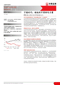 宁德时代：崛起的中国锂电力量.pdf