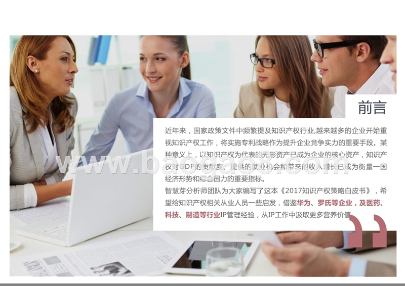 2017-2018知识产权策略研究报告.pptx_第2页