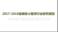 2017-2018自媒体小程序行业研究报告.pptx