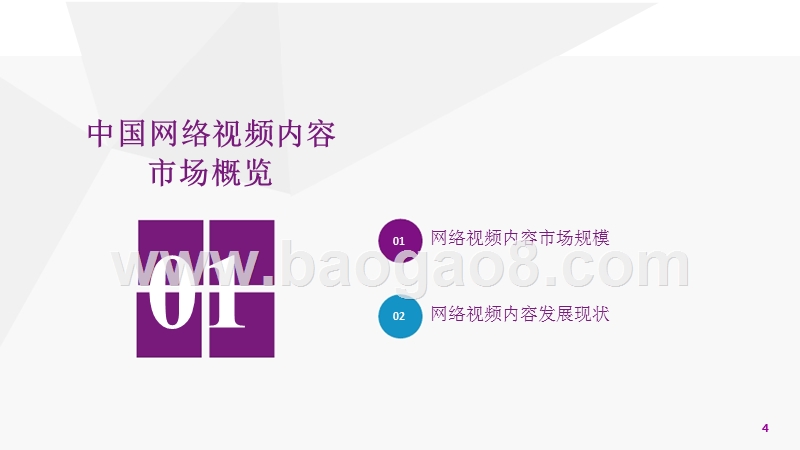 中国网络视频内容（PGC）用户研究报告.pptx_第4页