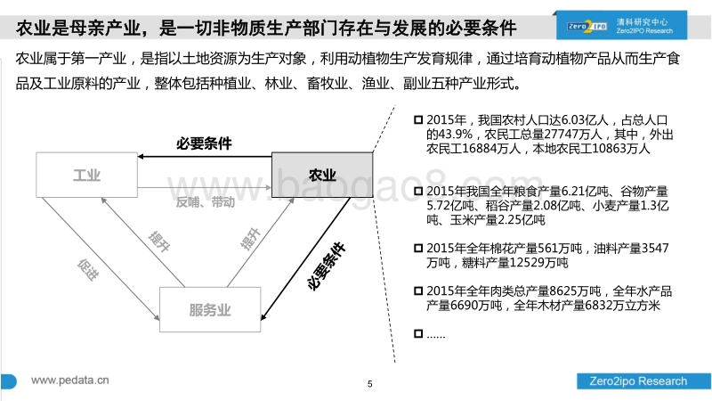 中国农业行业投资现状及未来趋势.pdf_第5页