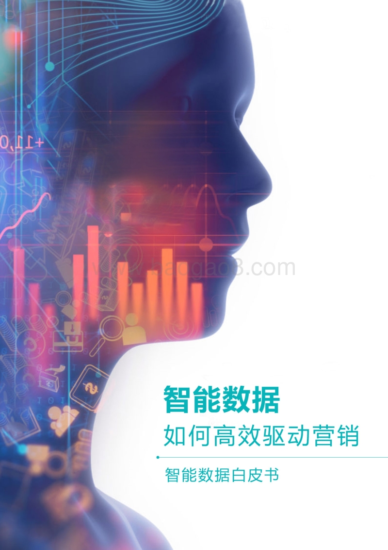 2017智能数据白皮书：智能数据如何高效驱动营销.pdf_第1页
