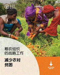 粮农组织的战略工作：减少农村贫困.pdf