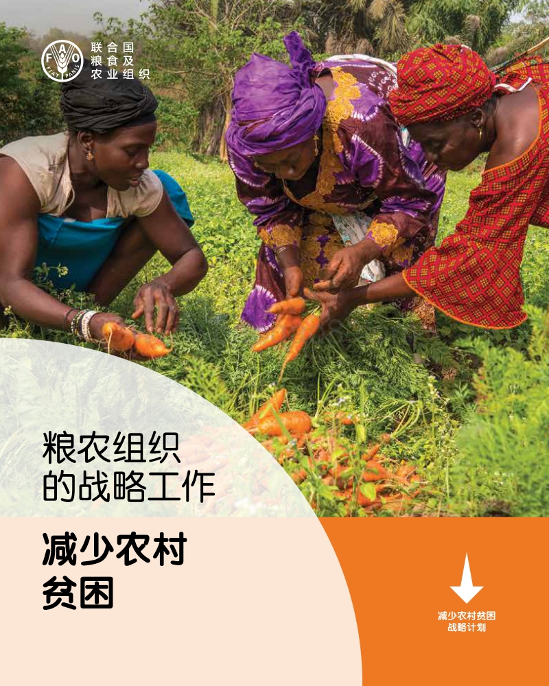 粮农组织的战略工作：减少农村贫困.pdf_第1页