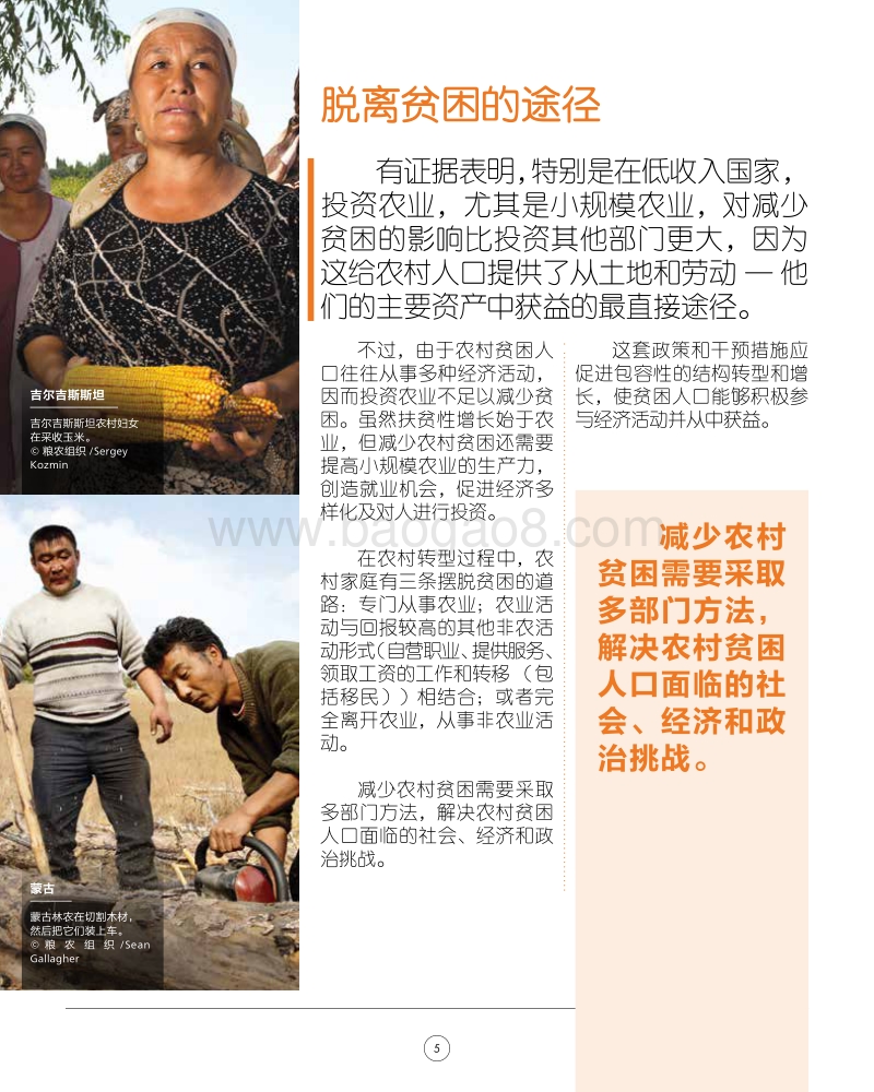 粮农组织的战略工作：减少农村贫困.pdf_第5页