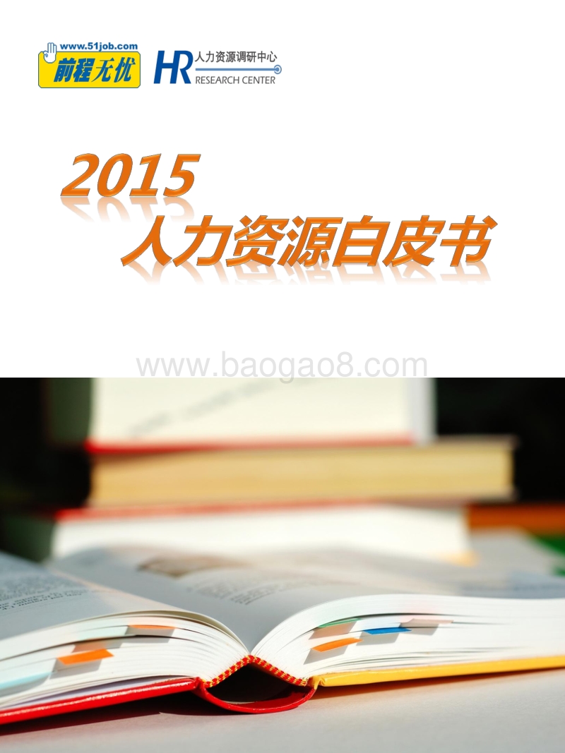 2015人力资源白皮书.pdf_第1页