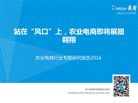2016农业电商行业专题研究报告.pdf