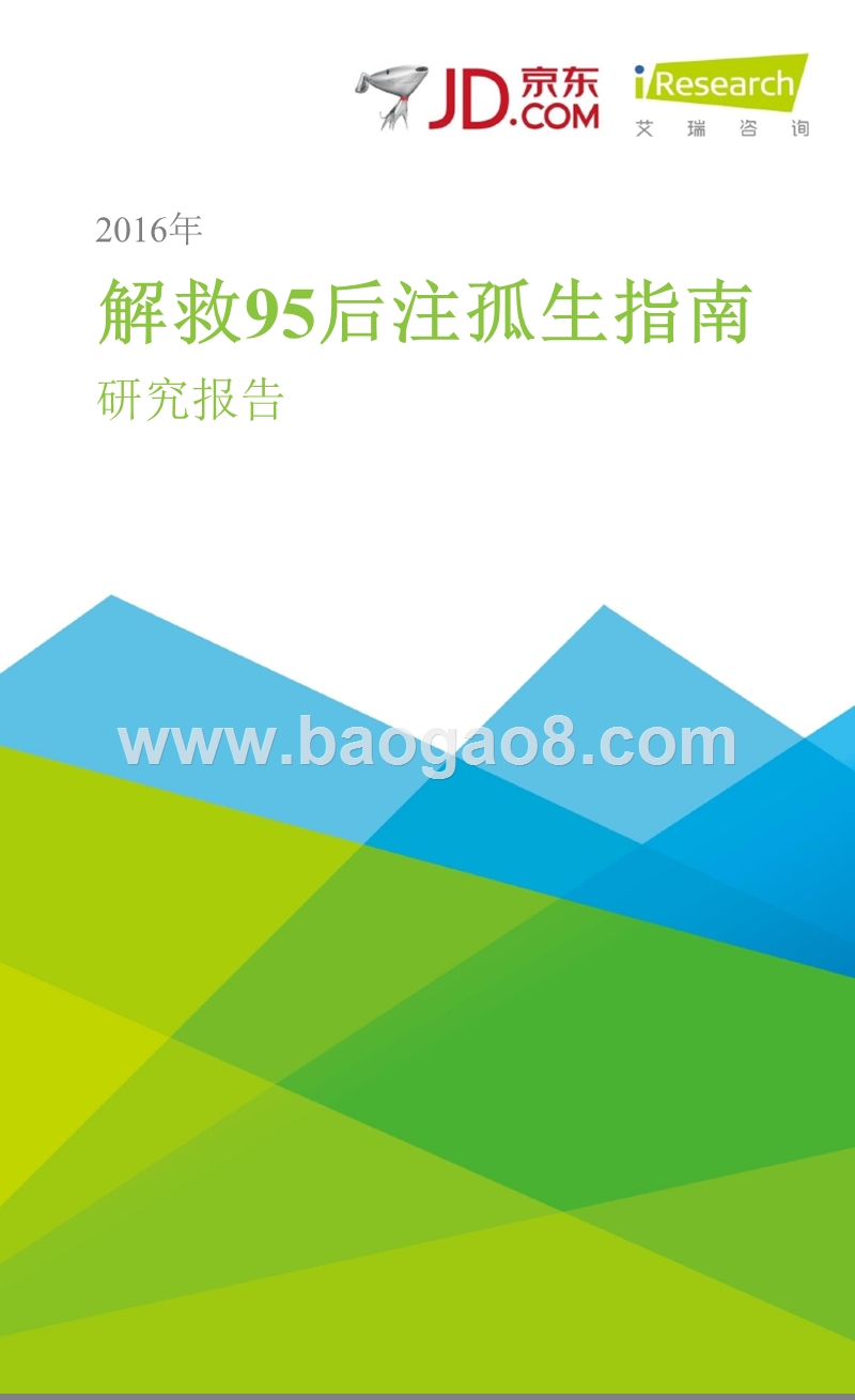 2016年解救95后注孤生指南研究报告.pptx_第1页