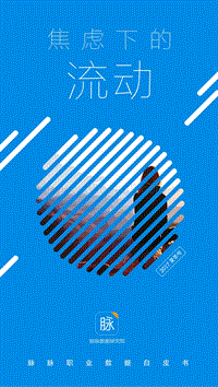 焦虑下的流动：脉脉职业数据白皮书2017夏季号.pdf