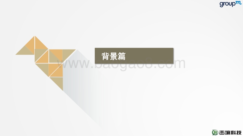2016年央卫视综艺节目植入广告白皮书.pdf_第3页