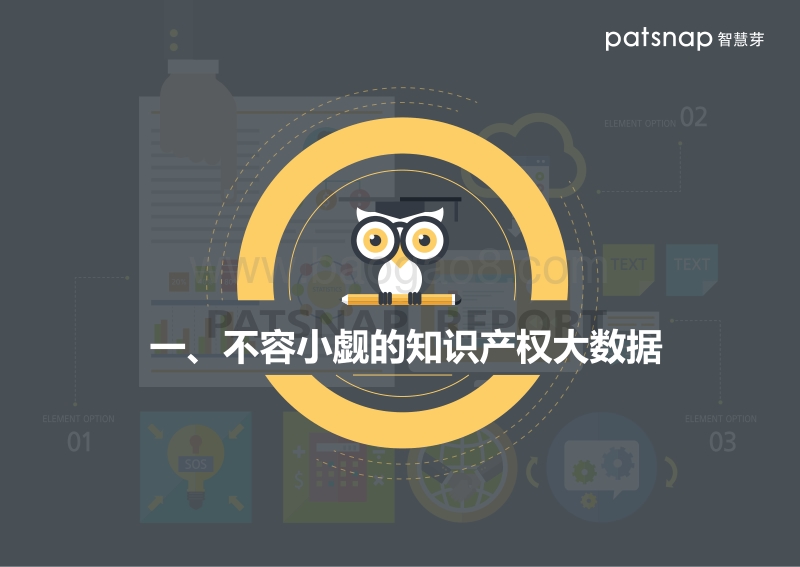2017知识产权IP策略白皮书——如何从专利信息中汲取价值？.pdf_第4页