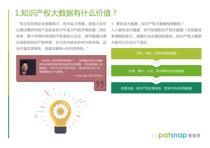 2017知识产权IP策略白皮书——如何从专利信息中汲取价值？.pdf_第5页