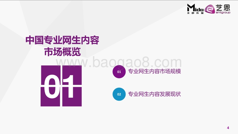 2016中国专业网生内容用户白皮书.pdf_第4页
