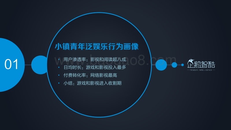 2017小镇青年泛娱乐白皮书.pdf_第5页