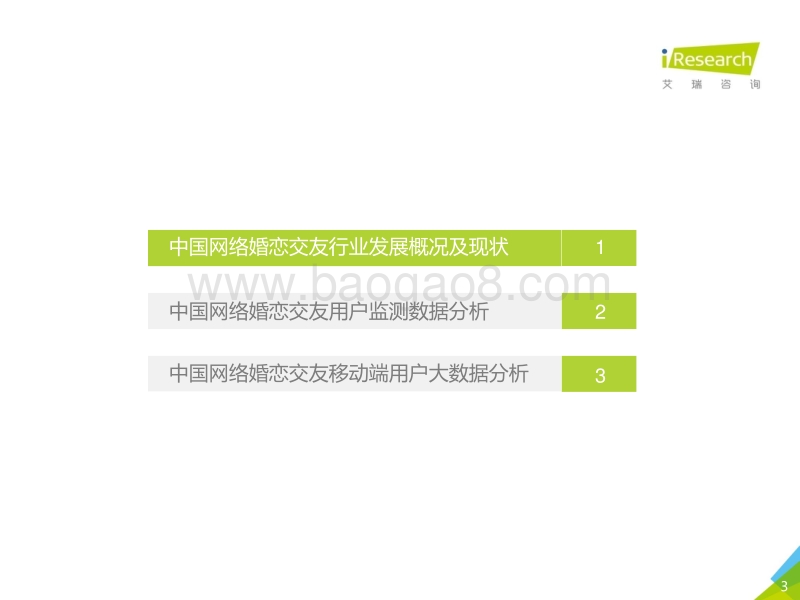 2018年中国网络婚恋交友行业研究报告.pdf_第3页