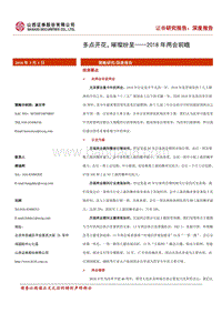 2018年两会前瞻：多点开花，璀璨纷呈.pdf