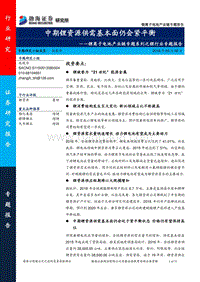 锂离子电池产业链专题系列之锂行业专题报告：中期锂资源供需基本面仍会紧平衡.pdf
