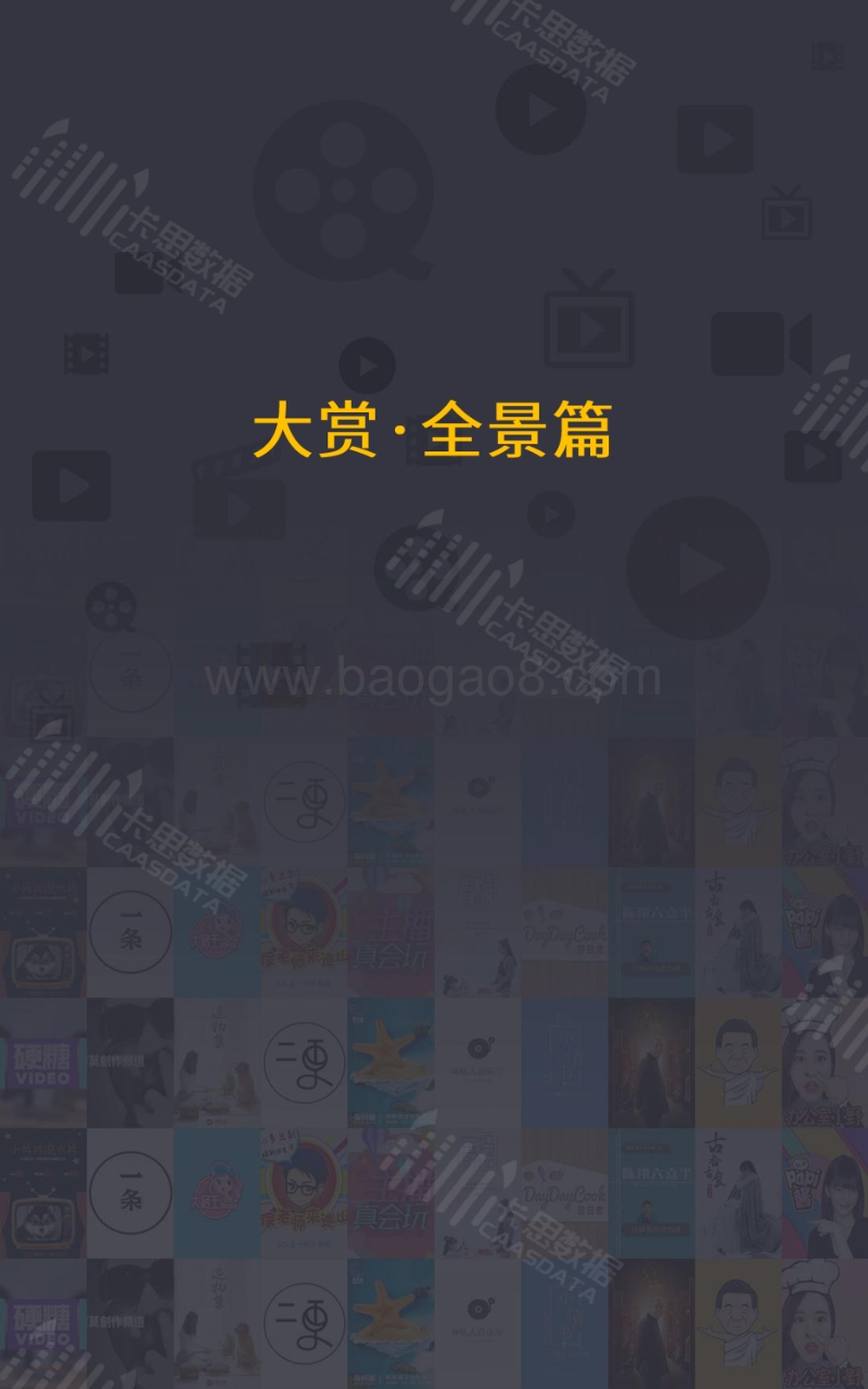 2017年度短视频行业白皮书.pdf_第5页