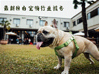 最新国内宠物行业报告.pdf