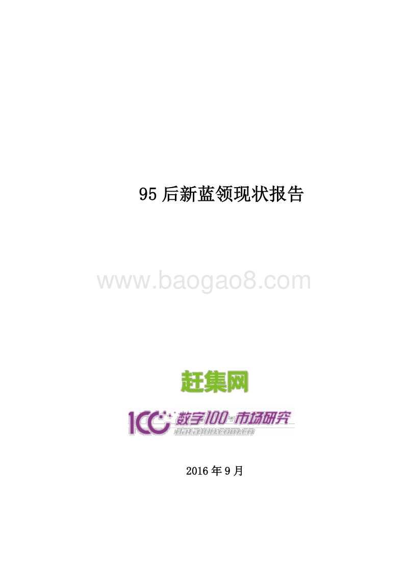 95后新蓝领现状报告.pdf_第1页