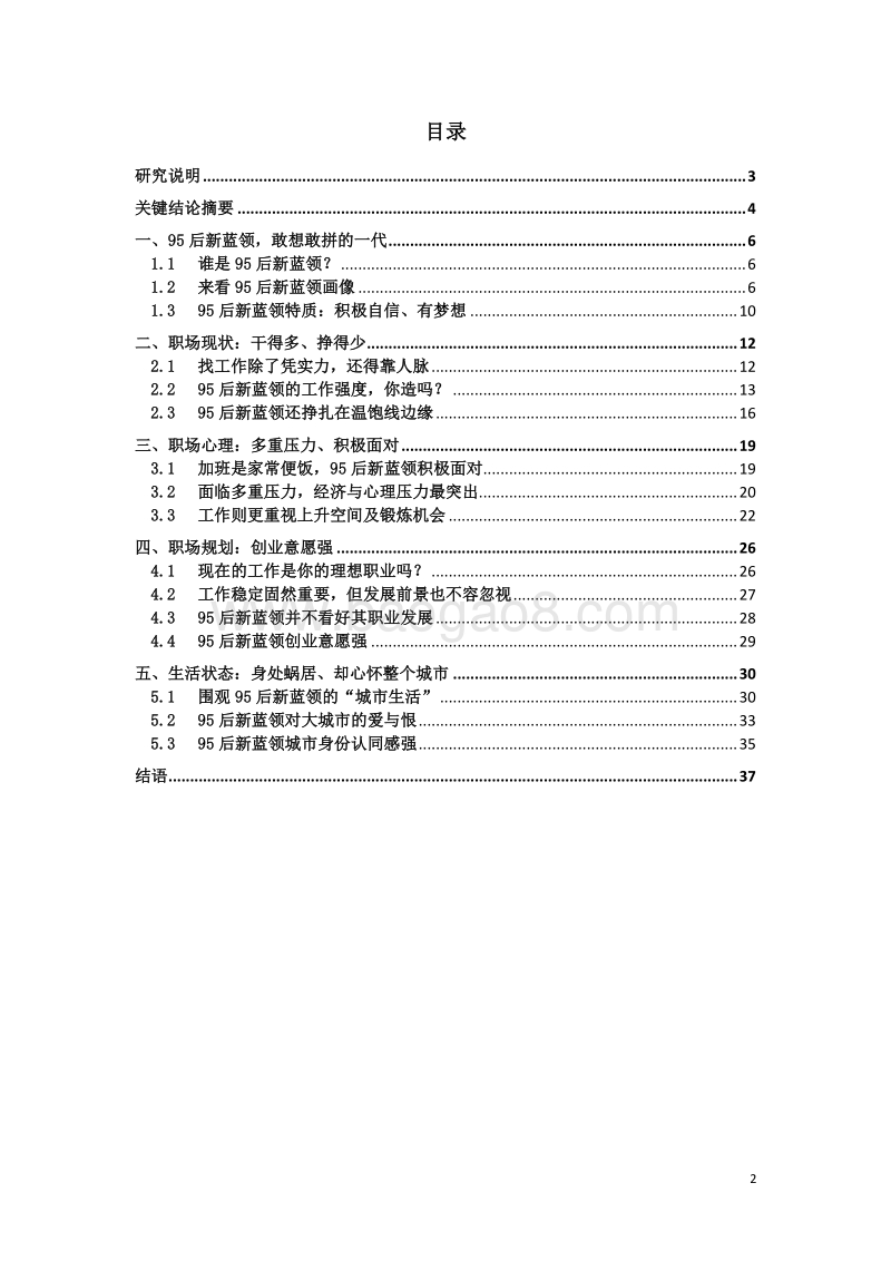 95后新蓝领现状报告.pdf_第2页