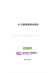 95后新蓝领现状报告.pdf
