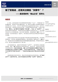 除了贸易战，还需关注哪些“灰犀牛”？.pdf