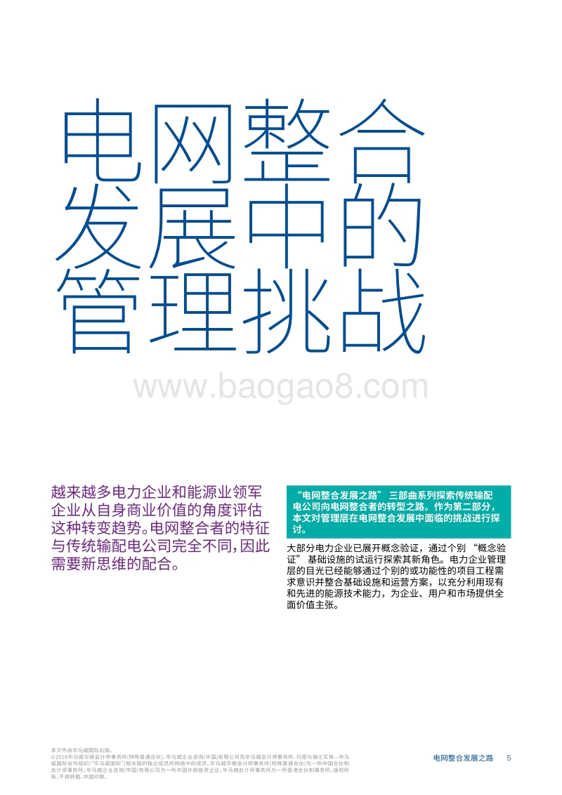电网整合发展之路三：电网整合发展中的管理挑战.pdf_第5页