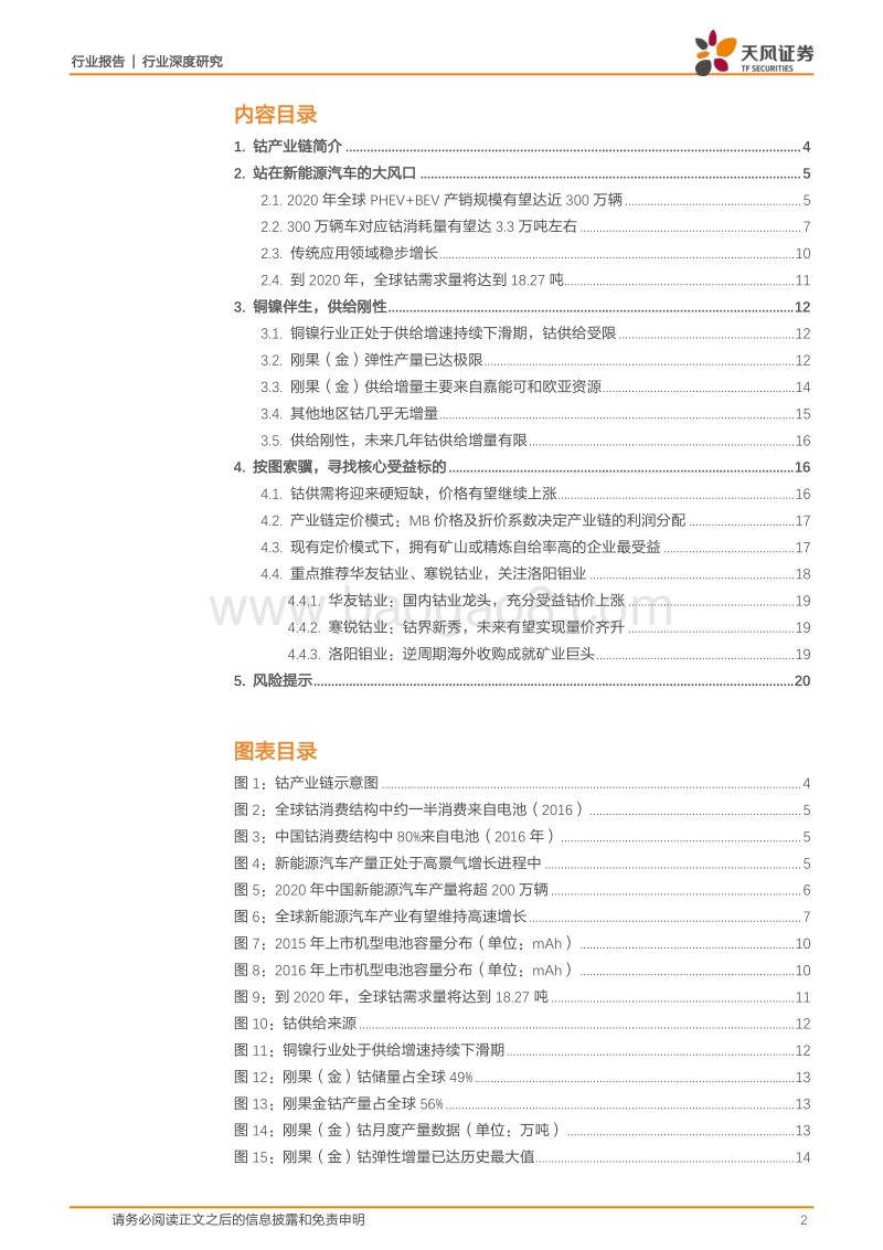 钴：站在新能源汽车的大风口.pdf_第2页