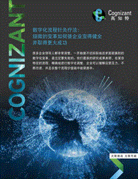 数字化流程针灸疗法：细微的变革如何使企业变得健全并取得更大成功.pdf