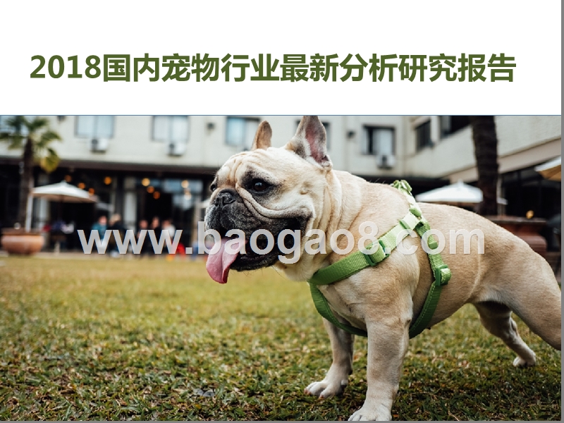 2018国内宠物行业最新分析研究报告.pptx_第1页