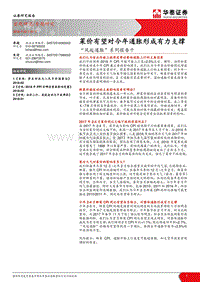 “风起通胀”系列报告十：菜价有望对今年通胀形成有力支撑.pdf