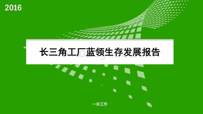 长三角工厂蓝领生存发展报告.pdf_第1页