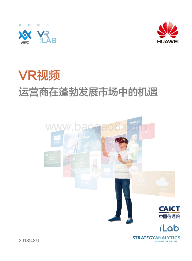 VR视频运营商在蓬勃发展市场分析报告.pdf_第1页