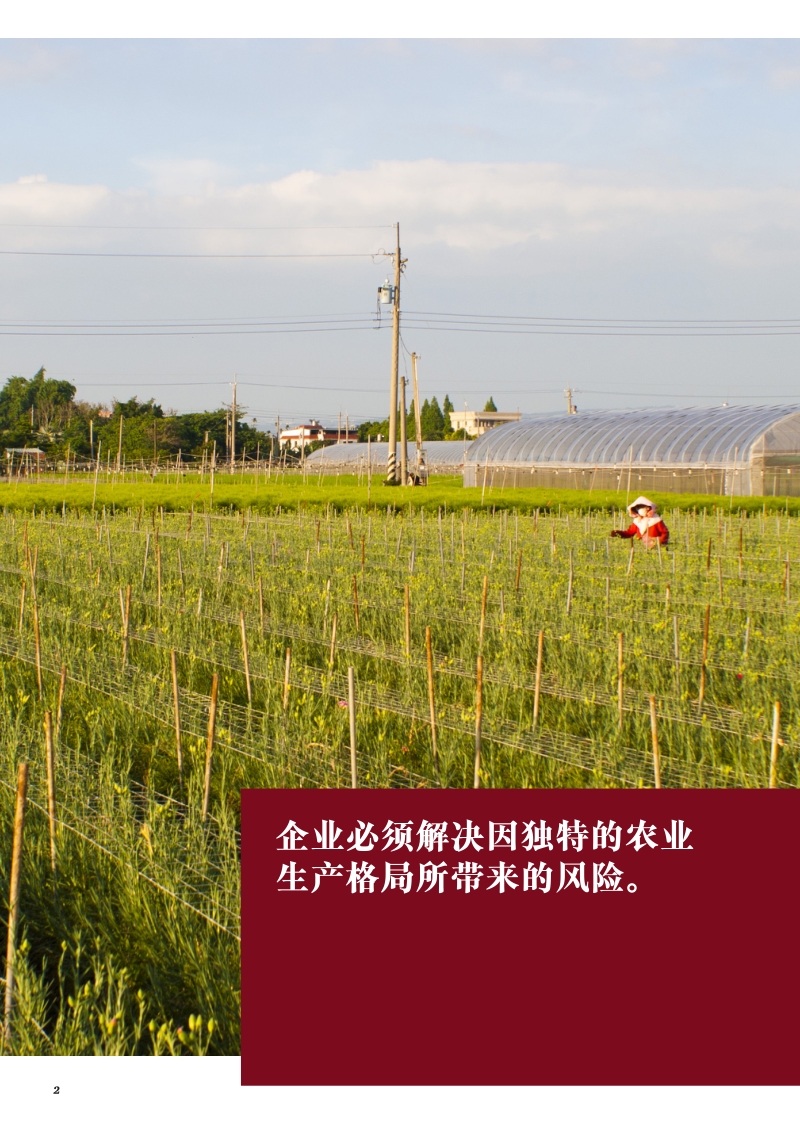 中国食品供应链质量追溯分析报告.pdf_第2页