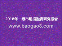 2018年一级市场投融资研究报告.pptx