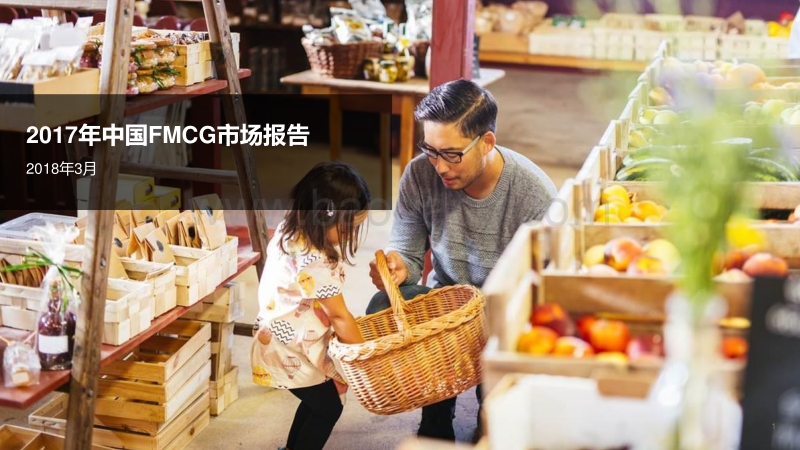 2017年中国FMCG市场报告.pdf_第1页