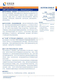 CDR数据解析报告.pdf