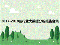 2017-2018各行业大数据分析报告合集.pptx