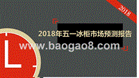 2018年五一冰柜市场预测报告.pptx