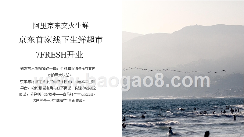 企业市场态势报告 .pptx_第2页