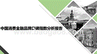 中国消费金融品牌口碑指数分析报告.pptx
