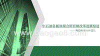 中石油各板块混合所有制改革进展综述报告.pptx