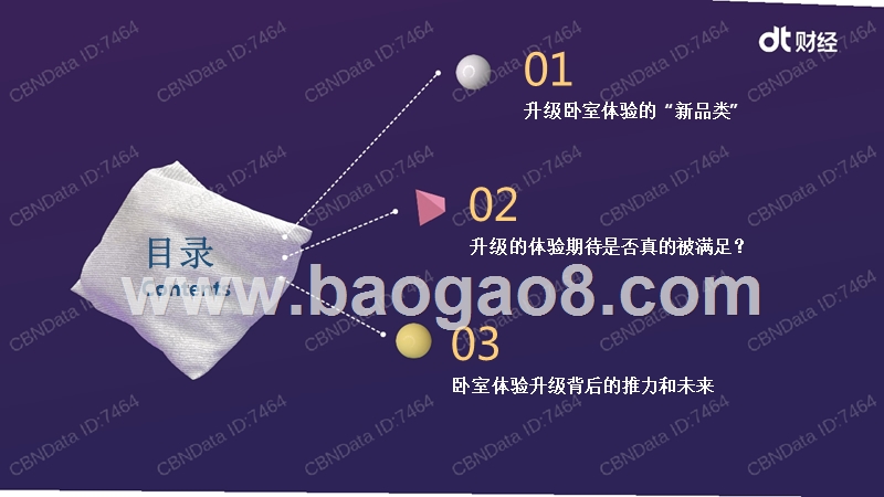 家居消费行业研究报告.pptx_第2页