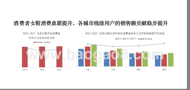 四川省女鞋电商行业研究报告.pptx_第4页